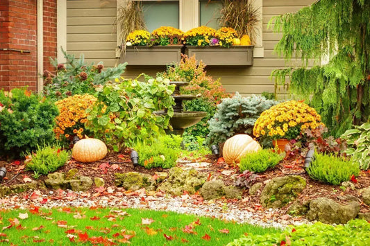 Your Guide to October Gardening in Florida