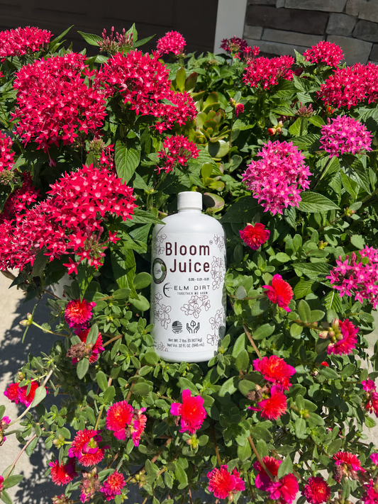 Bloom Booster Fertilizer: What It Is and When Your Flowers Actually Need It