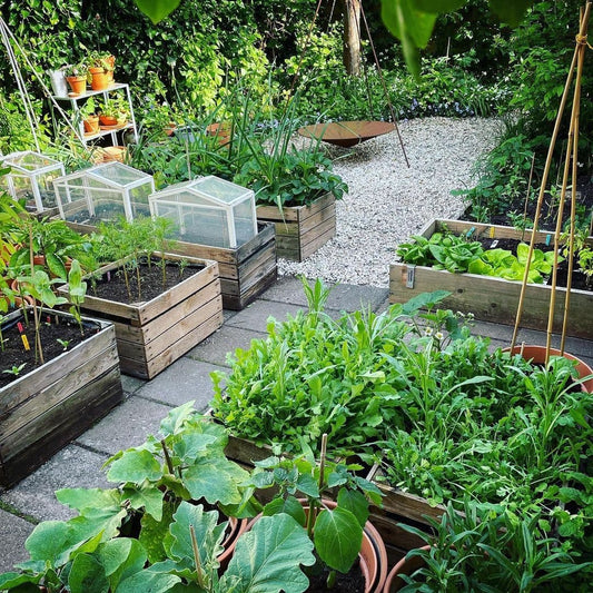 So You're Addicted to Gardening: Foolproof Ways to Maximize Your Time and Money In Your Garden in 2026