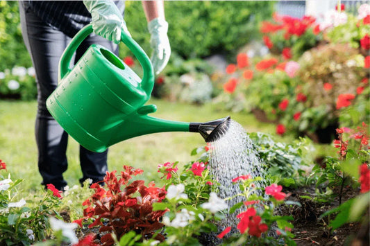 Feed Your Garden Right: Understanding Organic Fertilizers - Elm Dirt