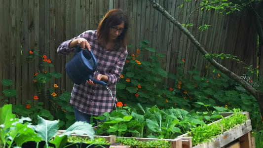 How Often Should You Really Feed Your Garden? A Month-by-Month Feeding Calendar