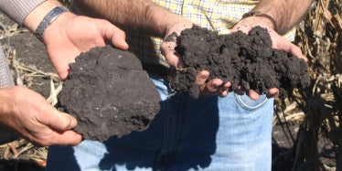 The Microbe Myth: 5 Things People Believe About Soil Biology That Aren't True