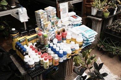 Eco-Friendly Fertilizer: What to Look for on the Label and What to Ignore