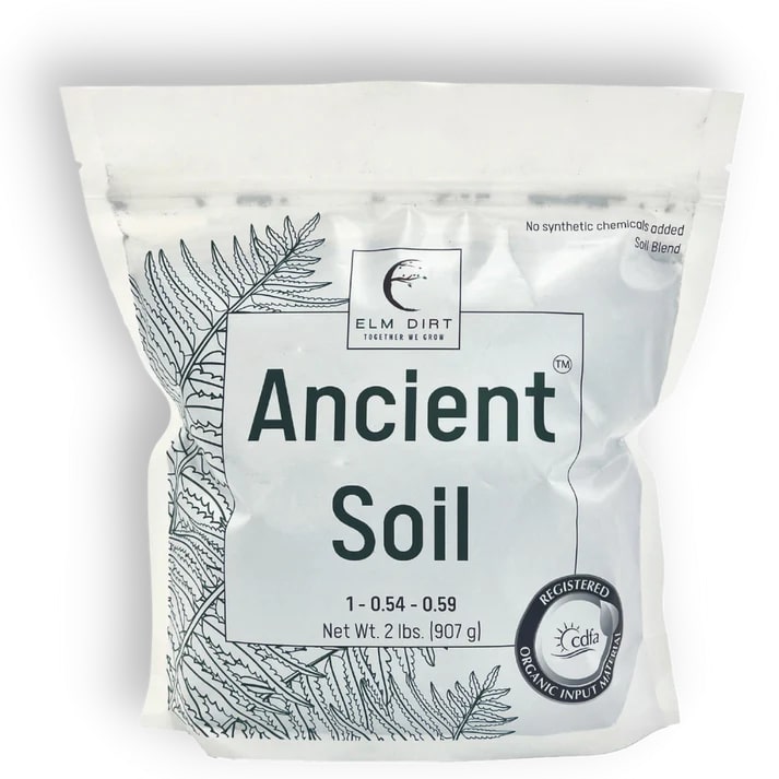 Ancient Soil