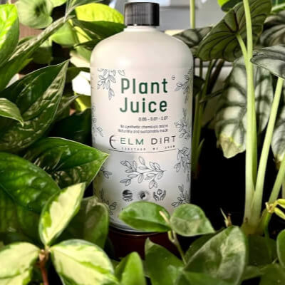 Plant Juice test