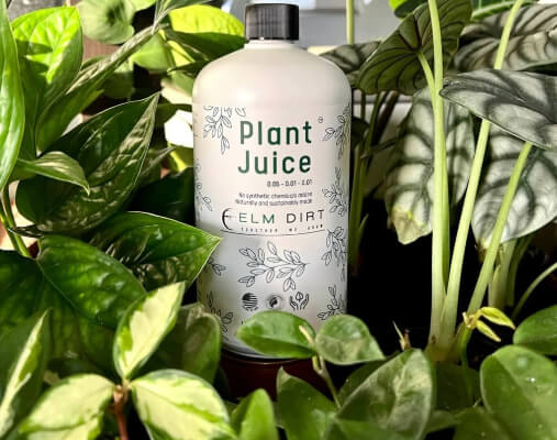 Plant Juice