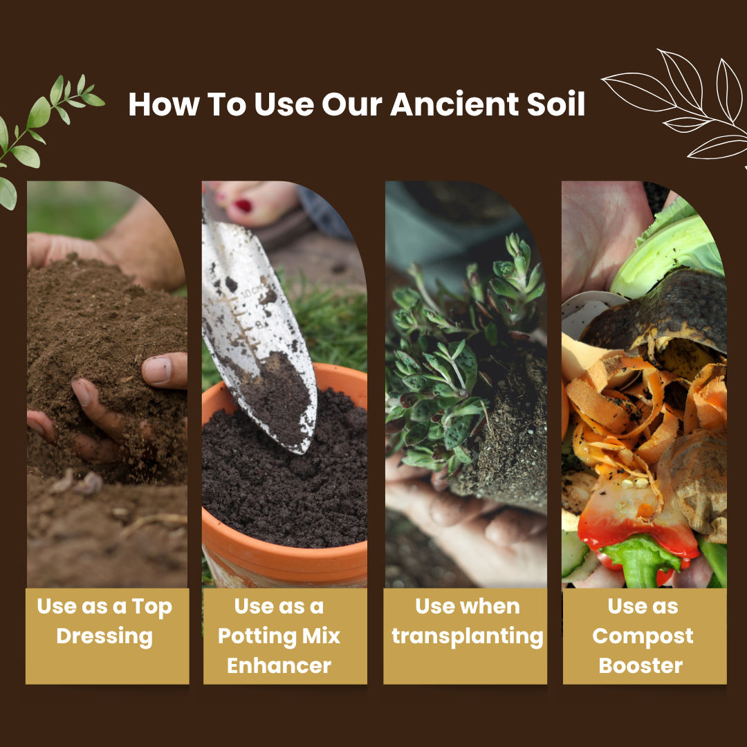 Instructions on how to use ancient soil with images and text.