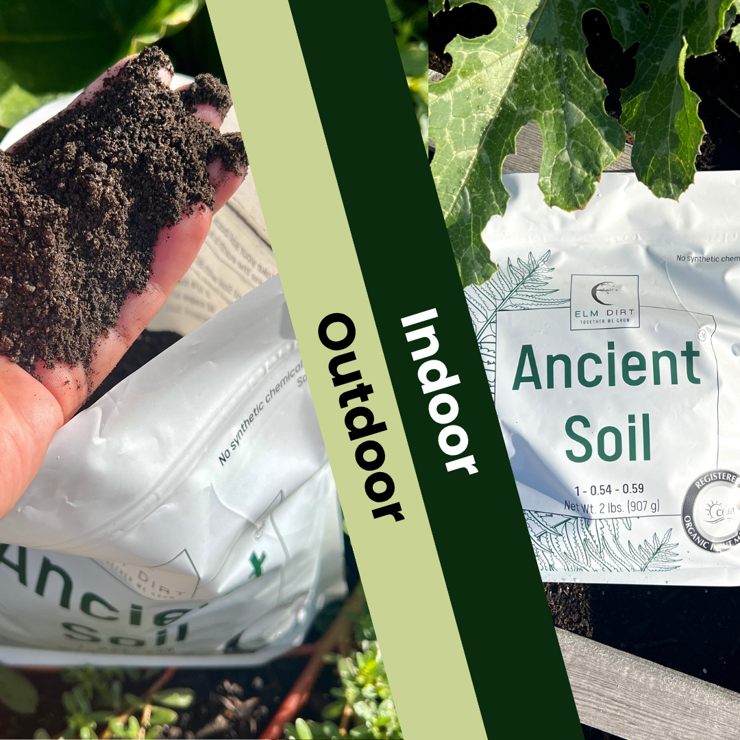 Packages of 'Ancient Soil' indicating for 'Outdoor' and 'Indoor' use on a green background.