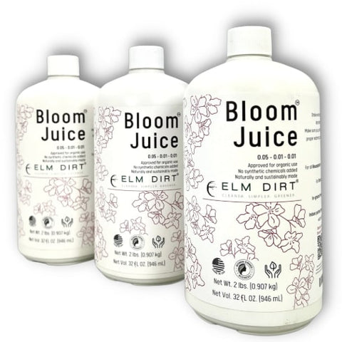 Bloom Juice