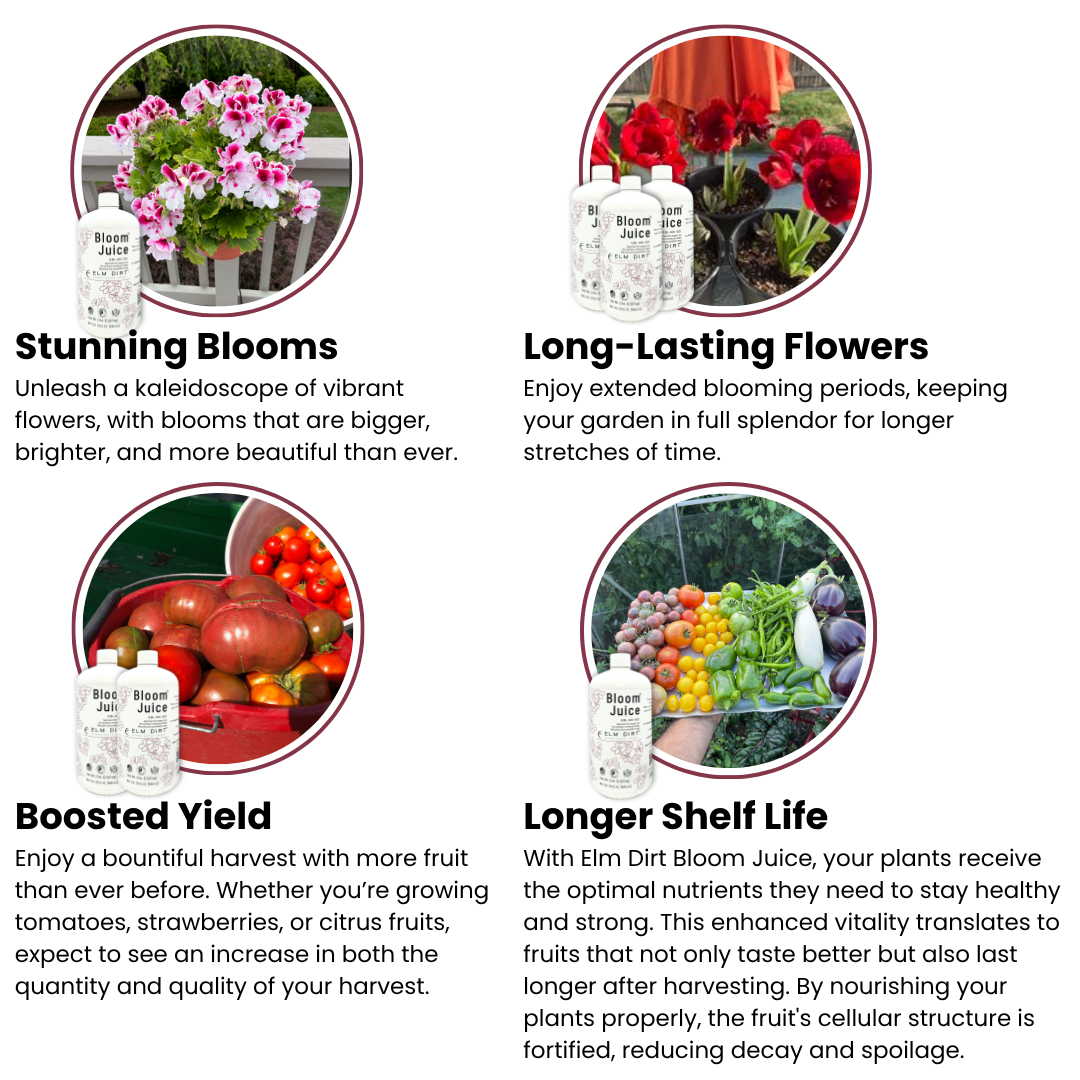 Bloom Juice with text highlighting features on a white background