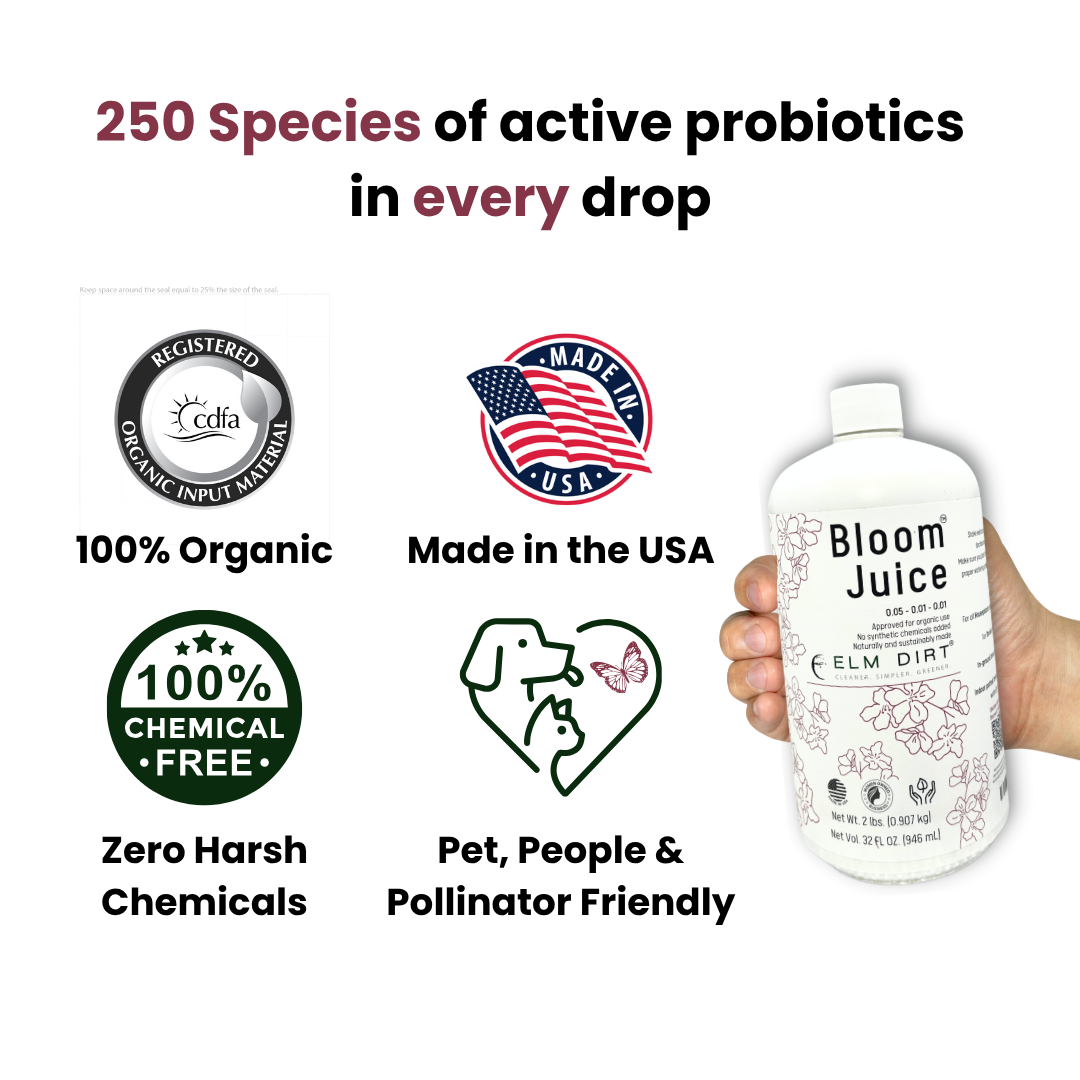 Bottle of 'Bloom Juice' with certification logos and text about active probiotics on a white background