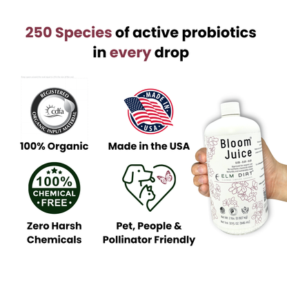 Bottle of 'Bloom Juice' with certification logos and text about active probiotics on a white background