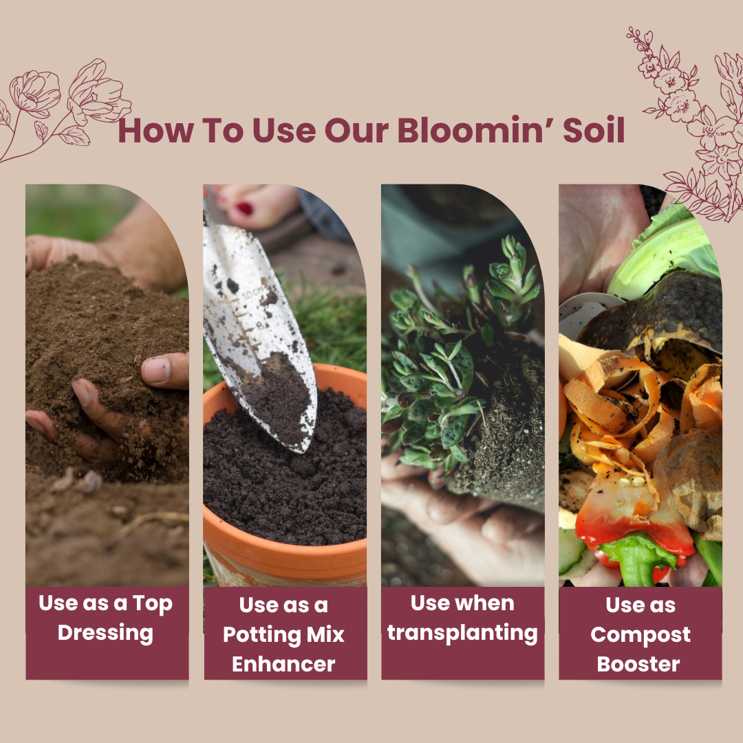 Instructions on how to use bloomin' soil with images and text.