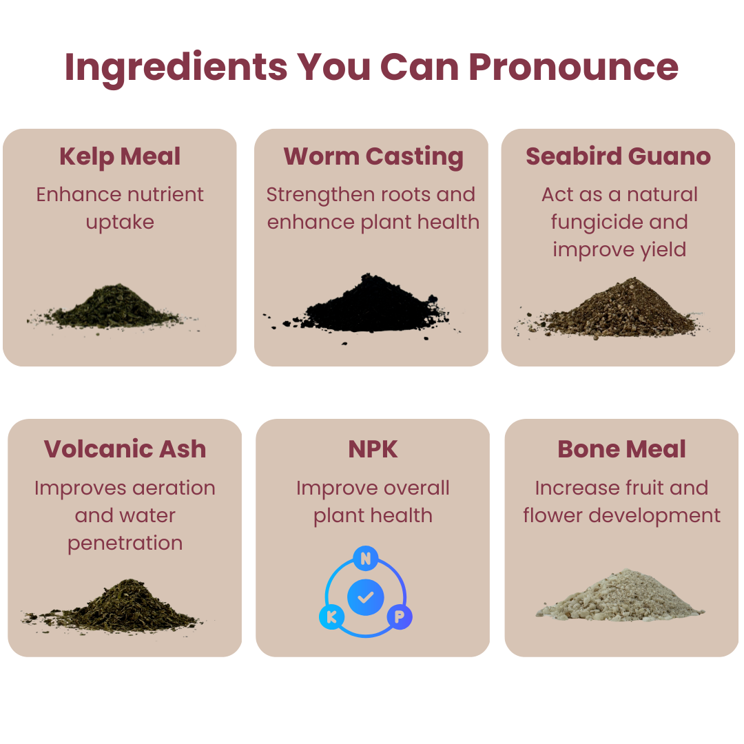 Six cards describing different Bloomin Soil ingredients with images and text on a beige background