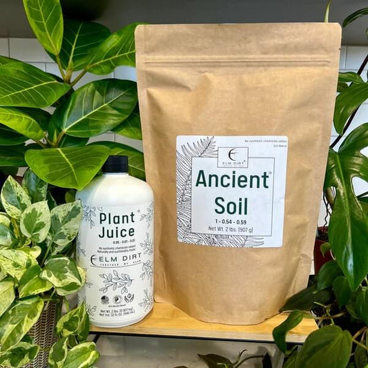 Elm Dirt Plant Juice and Ancient Soil Bundle