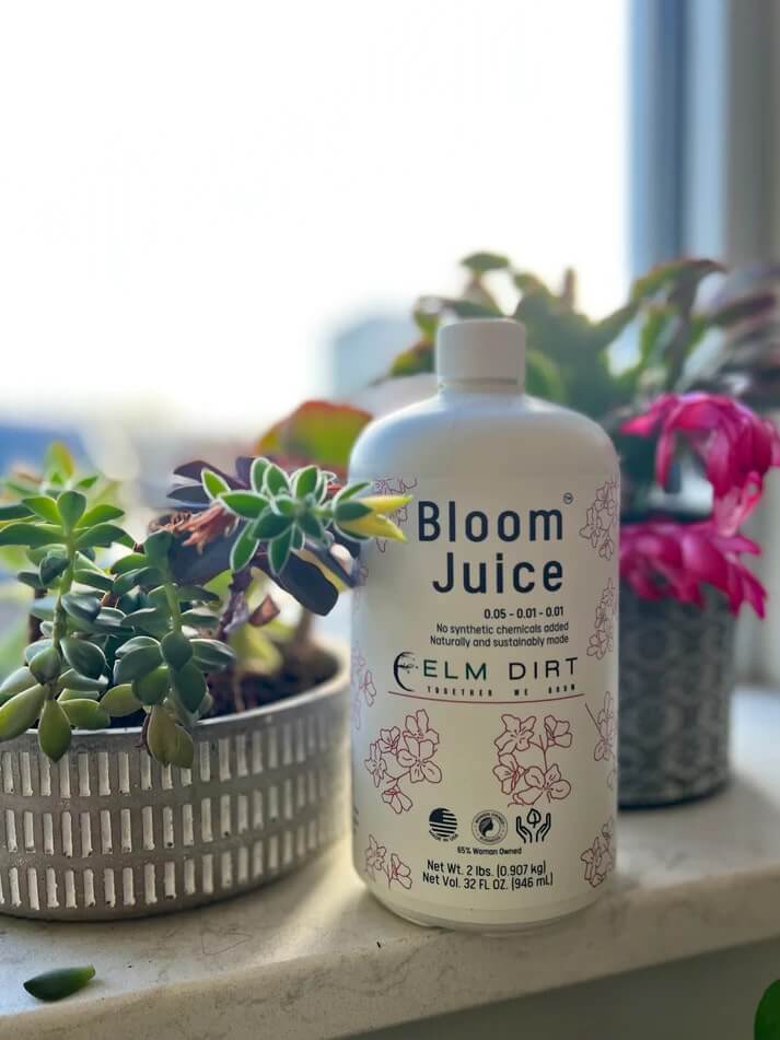 Bloom Power Bundle