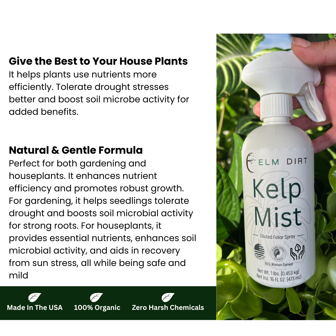Elm Dirt Kelp Mist bottle with text about its benefits for house plants.