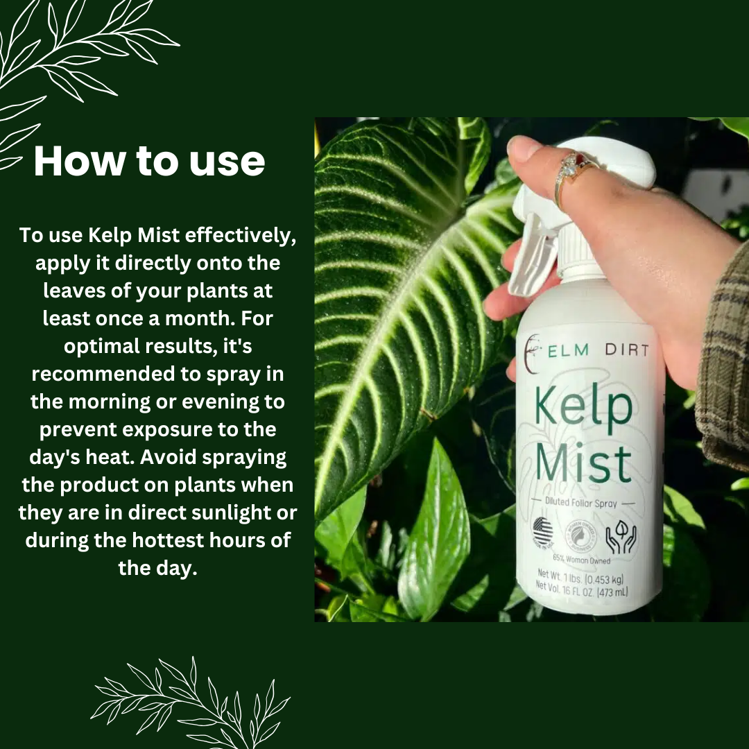 Kelp Mist spray bottle held over a plant with usage instructions on a green background