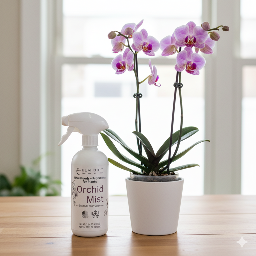 Potted orchid with a bottle of orchid mist on a wooden surface.