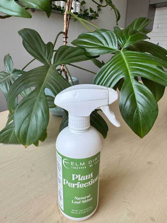 Bottle of Elm Dirt Plant Perfection on a table with a plant in the background with one shiny and one dull leaf