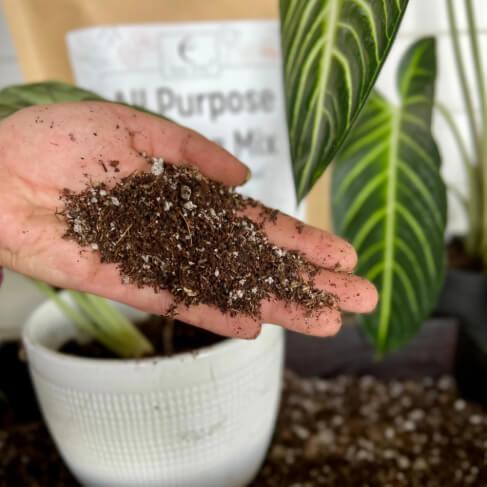soil less potting mix Peat-Free All-Purpose Potting Mix with Ancient Soil