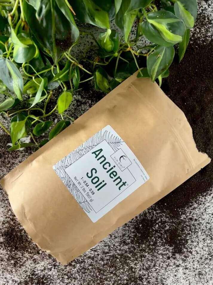 Ancient Soil: Organic Living Soil for Thriving Plants - Elm Dirt - 