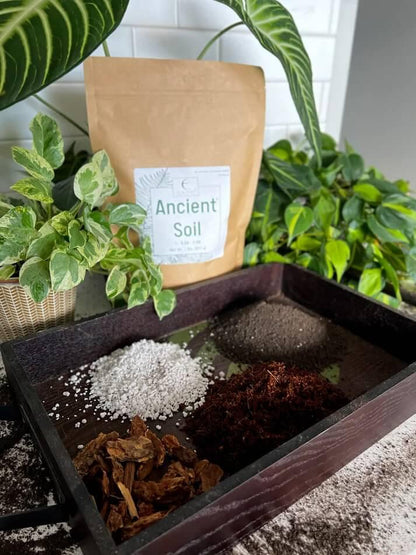 Ancient Soil: Organic Living Soil for Thriving Plants - Elm Dirt - 