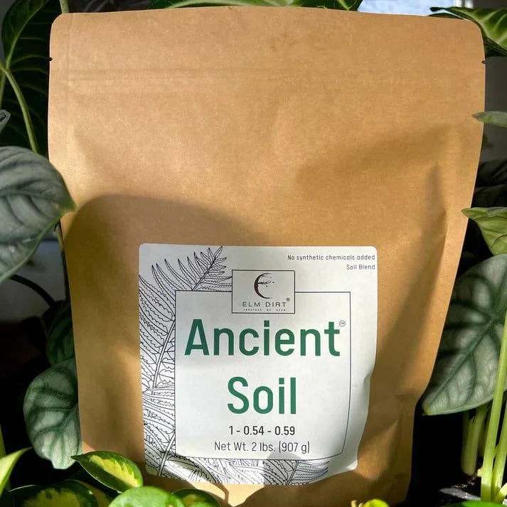 Ancient Soil: Organic Living Soil for Thriving Plants - Elm Dirt - 