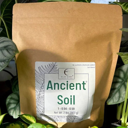Ancient Soil: Organic Living Soil for Thriving Plants - Elm Dirt - 