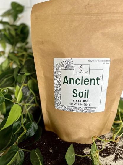 Ancient Soil: Organic Living Soil for Thriving Plants - Elm Dirt - 