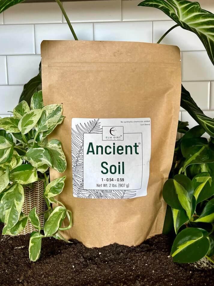Ancient Soil: Organic Living Soil for Thriving Plants - Elm Dirt - 