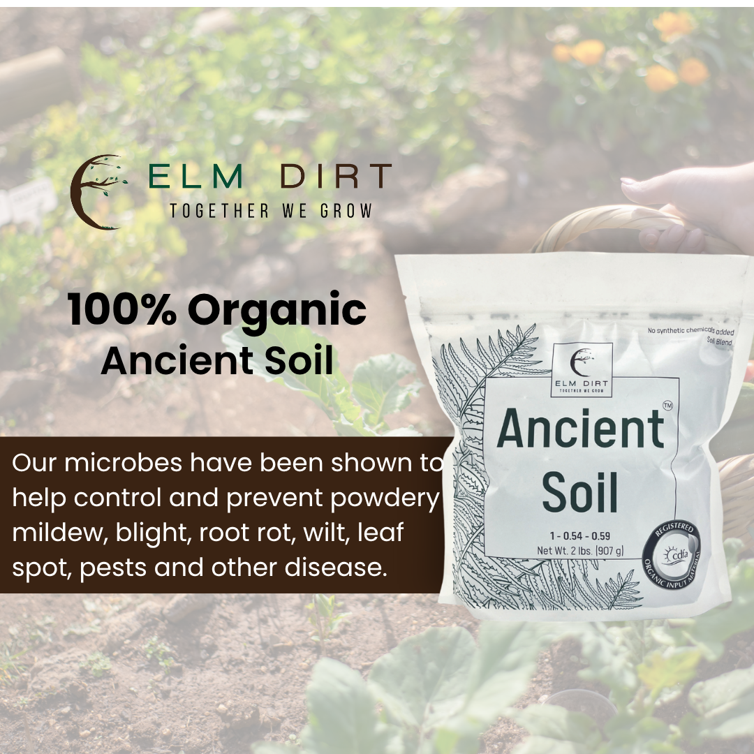 Package of Elm Dirt Ancient Soil with text about organic benefits on a blurred garden background
