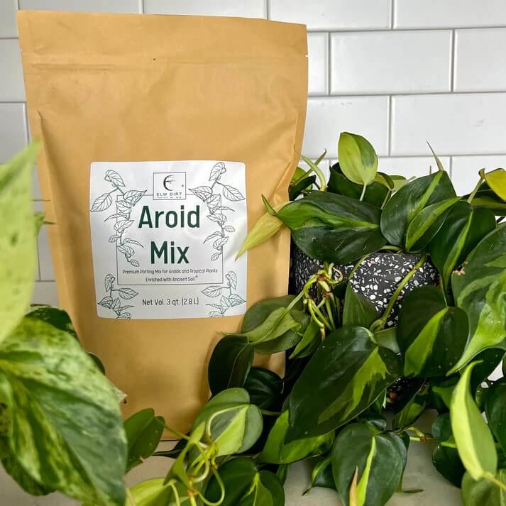 best aroid potting mix Premium Aroid Mix For Tropical Plants – Elm Dirt