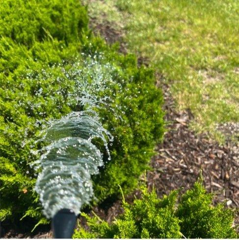Bloom Juice - Our Award - Winning Formula for Spectacular Flowers - Elm Dirt - 