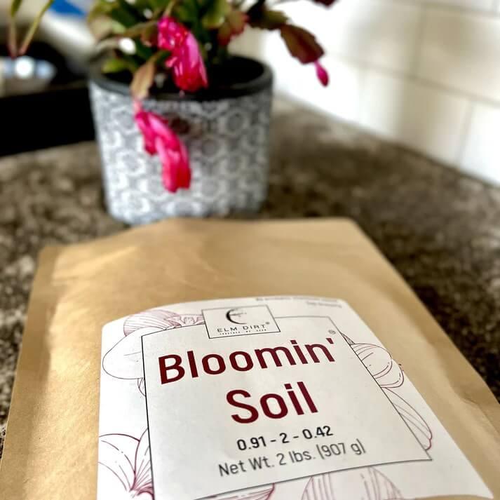 flower power potting mix Bloom Power Bundle for Annuals, Perennials, Vegetable & Fruit Plants – Elm Dirt