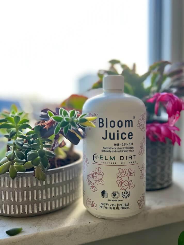 Bloom Power Bundle - Elm Dirt - 