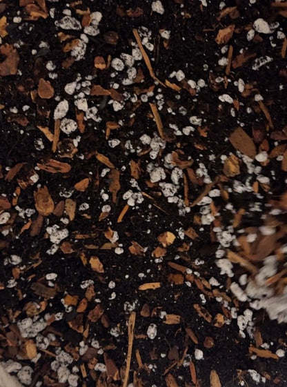 Desert Rose Soil Mix - Elm Dirt - 