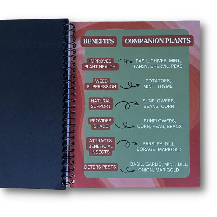 Elm Dirt Notebook - Elm Dirt - 