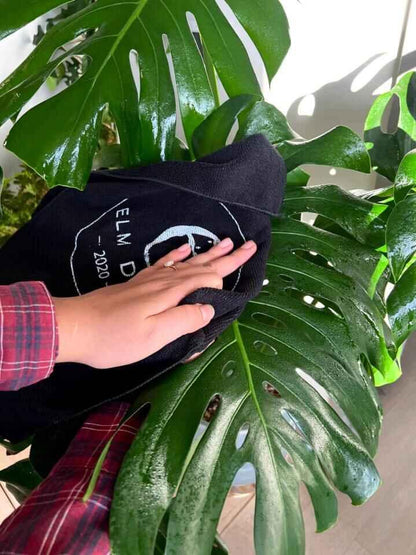 Elm Dirt Starter Kit - Elm Dirt - 