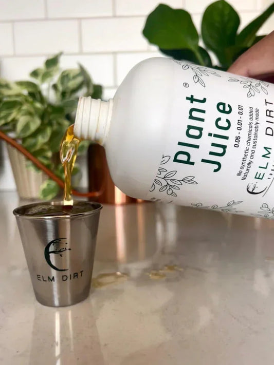 house plant care kit Plant Care Kit