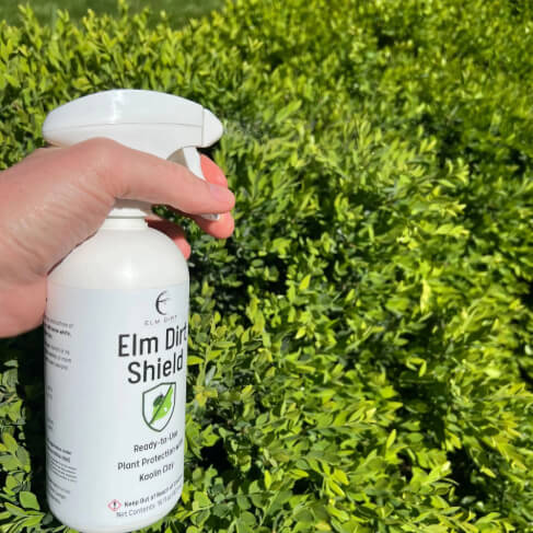 natural pesticide for indoor plants Shield: Natural Pest Control