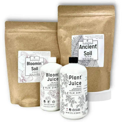 Elm Power Bundle - Elm Dirt - 