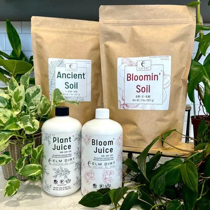 Elm Power Bundle - Elm Dirt - 