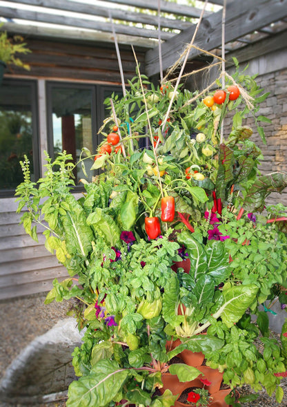 Garden Tower 2™, 50 - Plant Composting Vertical Garden Planter - Elm Dirt - 