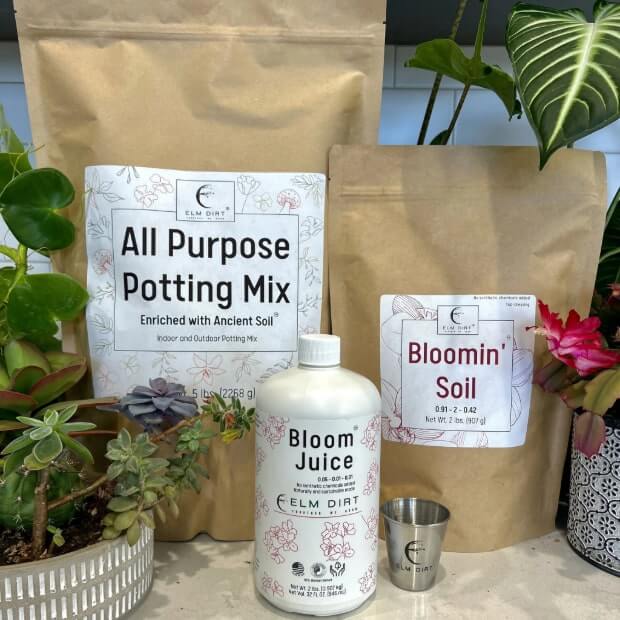 Gardeners Gift - Elm Dirt - 