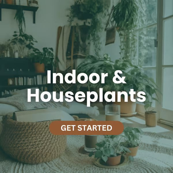 Elm Dirt products for indoors and houseplants