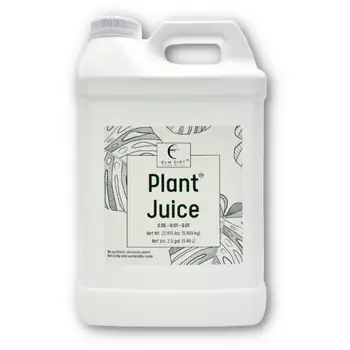 succulent juice Plant Juice