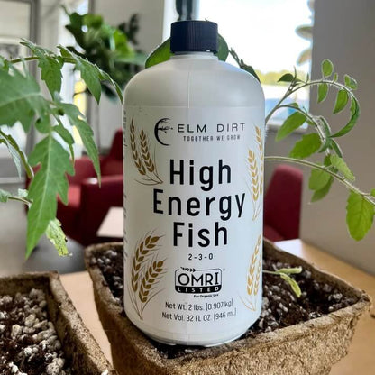 Hi - Energy Fish 2 - 3 - 0 - Elm Dirt - 