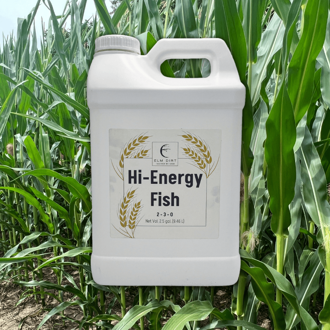Hi - Energy Fish 2 - 3 - 0 - Elm Dirt - 