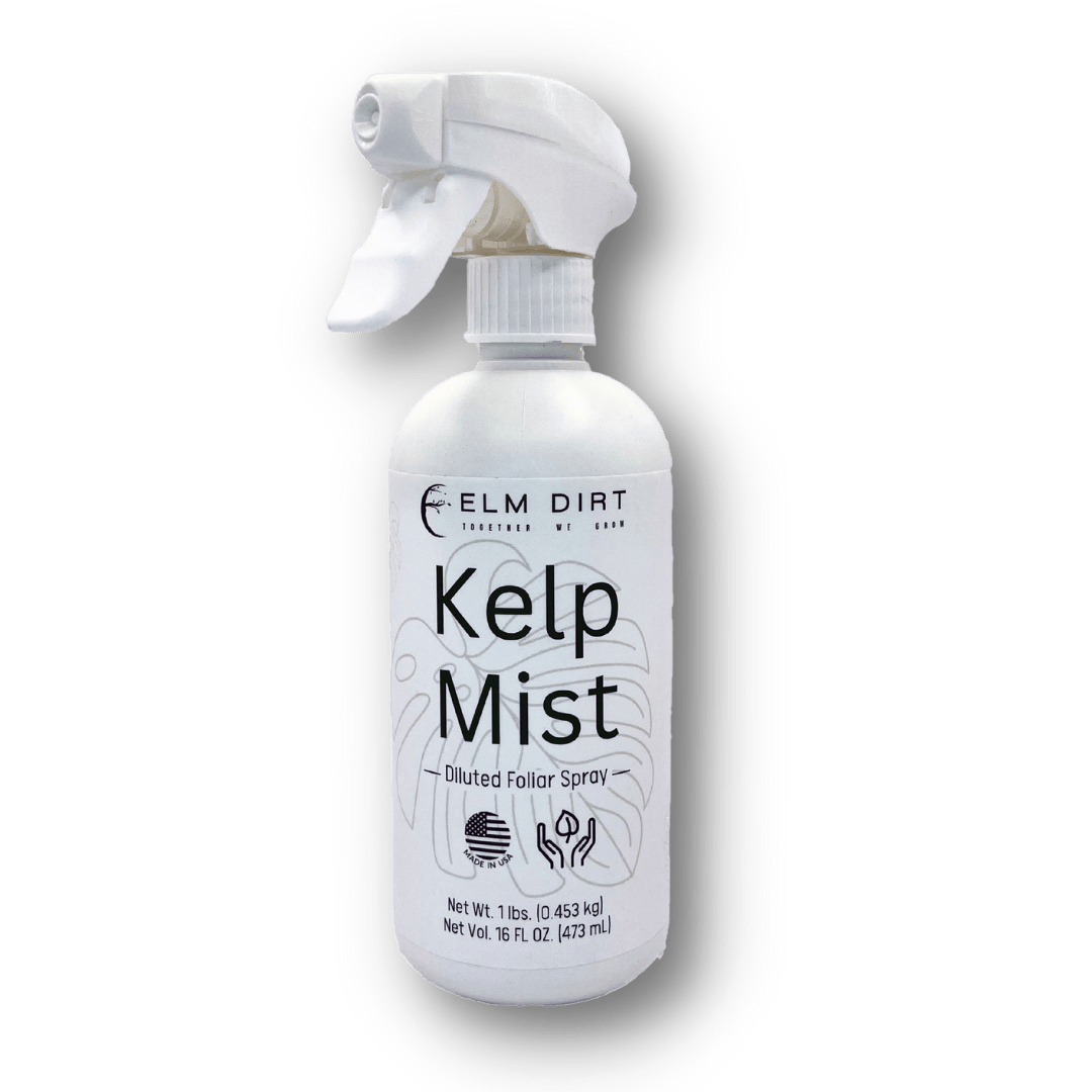 Kelp Mist - Elm Dirt - 